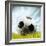 Soccer Ball Resting on Grass-null-Framed Photographic Print