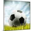 Soccer Ball Resting on Grass-null-Mounted Photographic Print