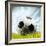 Soccer Ball Resting on Grass-null-Framed Photographic Print