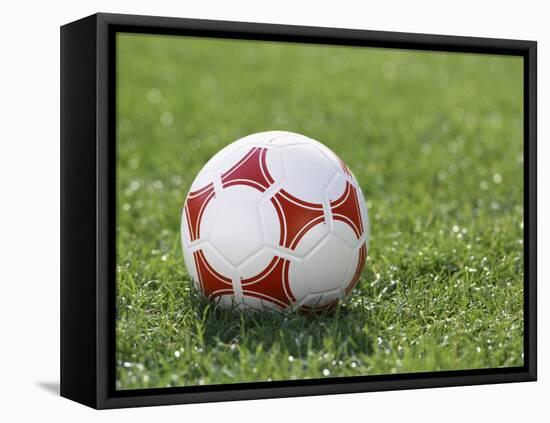 Soccer Ball-null-Framed Premier Image Canvas