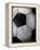 Soccer Ball-Randy Faris-Framed Premier Image Canvas