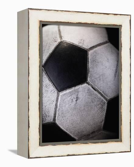 Soccer Ball-Randy Faris-Framed Premier Image Canvas