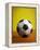 Soccer Ball-Randy Faris-Framed Premier Image Canvas