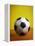 Soccer Ball-Randy Faris-Framed Premier Image Canvas