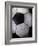 Soccer Ball-Randy Faris-Framed Photographic Print