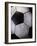 Soccer Ball-Randy Faris-Framed Photographic Print