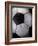 Soccer Ball-Randy Faris-Framed Photographic Print