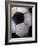 Soccer Ball-Randy Faris-Framed Photographic Print