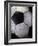 Soccer Ball-Randy Faris-Framed Photographic Print