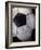 Soccer Ball-Randy Faris-Framed Photographic Print