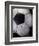 Soccer Ball-Randy Faris-Framed Photographic Print