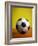 Soccer Ball-Randy Faris-Framed Photographic Print