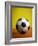 Soccer Ball-Randy Faris-Framed Photographic Print