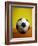 Soccer Ball-Randy Faris-Framed Photographic Print