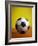 Soccer Ball-Randy Faris-Framed Photographic Print