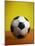 Soccer Ball-Randy Faris-Mounted Photographic Print