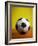 Soccer Ball-Randy Faris-Framed Photographic Print