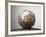 Soccer ball-Paul Taylor-Framed Photographic Print