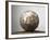 Soccer ball-Paul Taylor-Framed Photographic Print