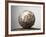 Soccer ball-Paul Taylor-Framed Photographic Print