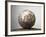 Soccer ball-Paul Taylor-Framed Photographic Print