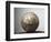 Soccer ball-Paul Taylor-Framed Photographic Print