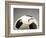 Soccer ball-Paul Taylor-Framed Photographic Print