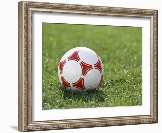 Soccer Ball-null-Framed Photographic Print