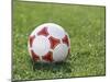Soccer Ball-null-Mounted Photographic Print