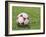 Soccer Ball-null-Framed Photographic Print