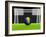 Soccer Bosnia Herzegovina-koufax73-Framed Art Print