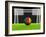 Soccer Cameroon-koufax73-Framed Art Print