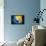 Soccer Football Ball with Bosnia and Herzegovina Flag-daboost-Framed Stretched Canvas displayed on a wall