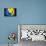 Soccer Football Ball with Bosnia and Herzegovina Flag-daboost-Mounted Art Print displayed on a wall