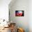 Soccer Football Ball with Chile Flag-daboost-Framed Stretched Canvas displayed on a wall