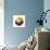 Soccer Football Ball with Ecuador Flag-daboost-Premium Giclee Print displayed on a wall