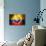 Soccer Football Ball with Ecuador Flag-daboost-Art Print displayed on a wall