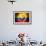 Soccer Football Ball with Ecuador Flag-daboost-Framed Art Print displayed on a wall