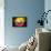 Soccer Football Ball with Ecuador Flag-daboost-Framed Stretched Canvas displayed on a wall