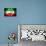 Soccer Football Ball with Iran Flag-daboost-Mounted Art Print displayed on a wall