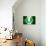 Soccer Football Ball with Nigeria Flag-daboost-Premium Giclee Print displayed on a wall