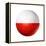 Soccer Football Ball With Poland Flag-daboost-Framed Stretched Canvas