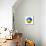 Soccer Football Ball With Ukraine Flag-daboost-Mounted Art Print displayed on a wall
