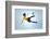 Soccer Football Kick Striker Scoring Goal with Accurate Shot for Brazil Team World Cup-warrengoldswain-Framed Photographic Print