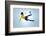 Soccer Football Kick Striker Scoring Goal with Accurate Shot for Brazil Team World Cup-warrengoldswain-Framed Photographic Print