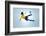 Soccer Football Kick Striker Scoring Goal with Accurate Shot for Brazil Team World Cup-warrengoldswain-Framed Photographic Print