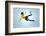 Soccer Football Kick Striker Scoring Goal with Accurate Shot for Brazil Team World Cup-warrengoldswain-Framed Photographic Print