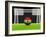 Soccer Ghana-koufax73-Framed Art Print