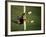 Soccer Goalie in Action-null-Framed Photographic Print