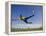 Soccer Player in Action-null-Framed Premier Image Canvas